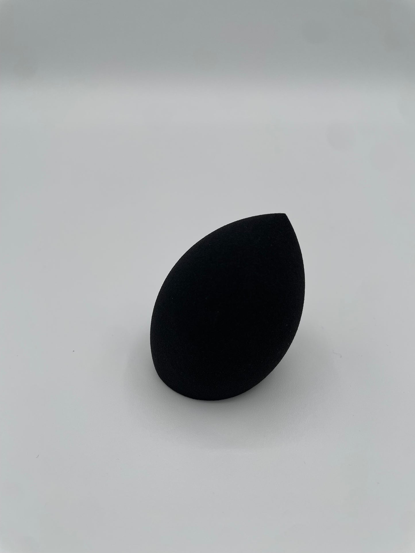 BLACK BEAUTY SPONGE